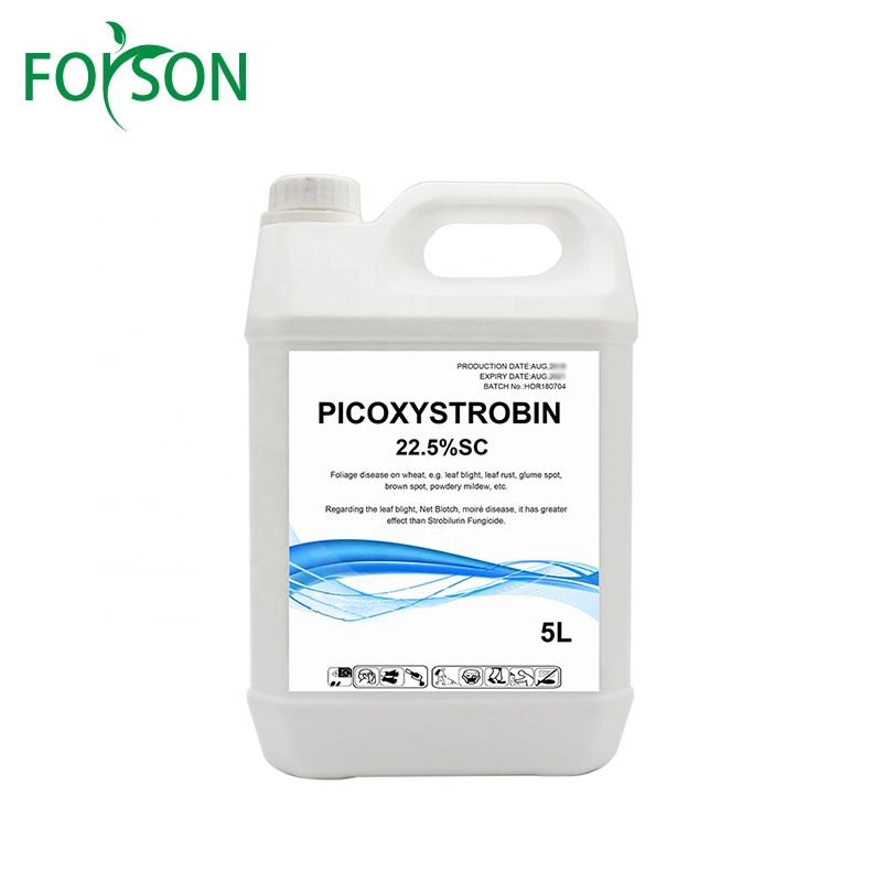 Picoxystrobin Fungicide Label for Clear Instructions