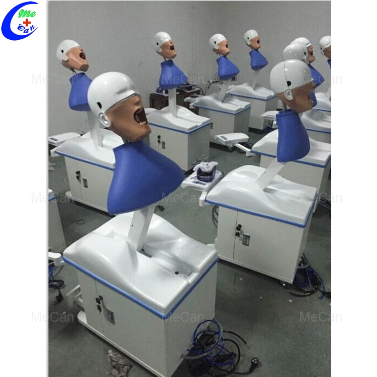 Dental médico de la Unidad de Simulación de la cabeza del maniquí simulador Dental