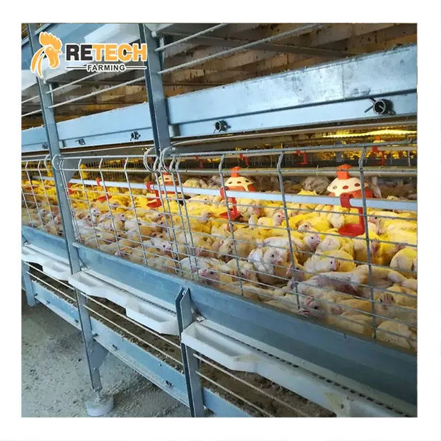 Vollautomatische Broiler Chicken Farm Ausrüstung H Typ Broiler Huhn Käfig Für Geflügel