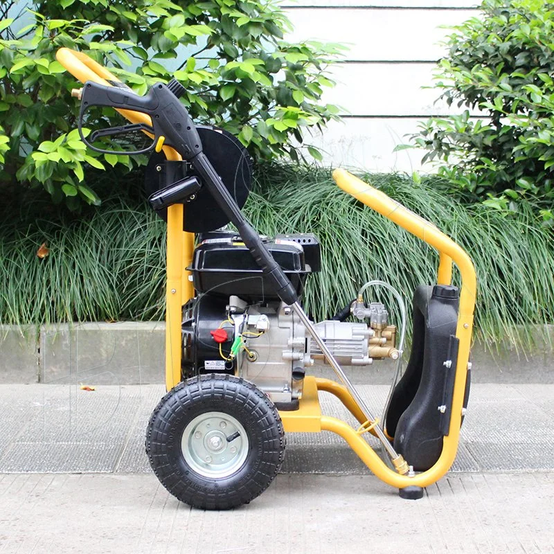 Bison 170 Bar Portable 220V Household Gasoline High Pressure Washer