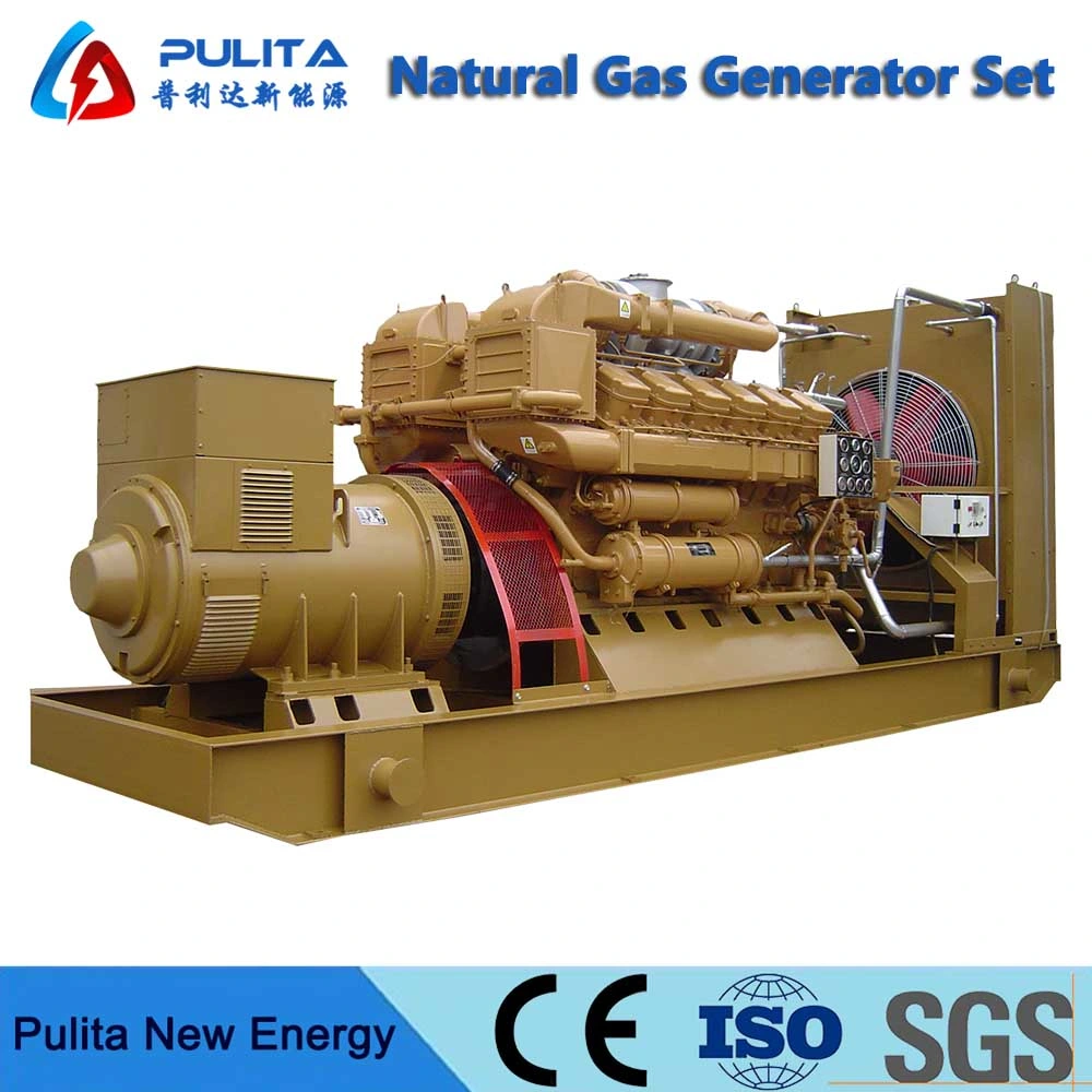 Automatic Standby Commercial 10MW Gas Generator