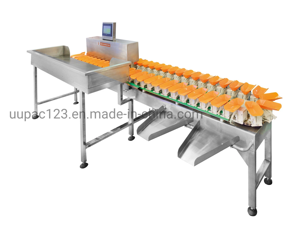 Carousel Multi - Weight Sorting Machine Wigh High Accuracy