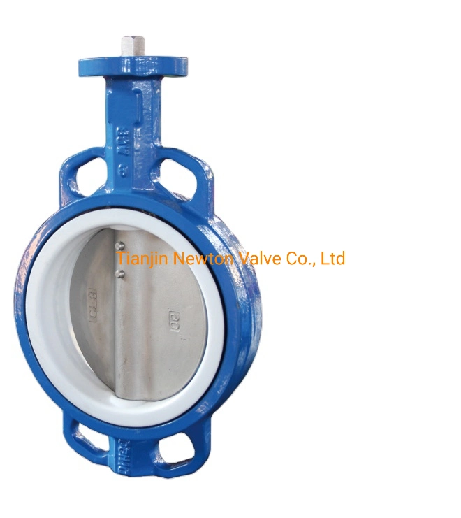 Cast Ductile Iron Ci Di Wcb Carbon Stainless Steel Aluminium Bronze Wafer Pn10 Pn16 Pn25 ANSI 150 Lb JIS 10K Handle Butterfly Valves with Worm Gear