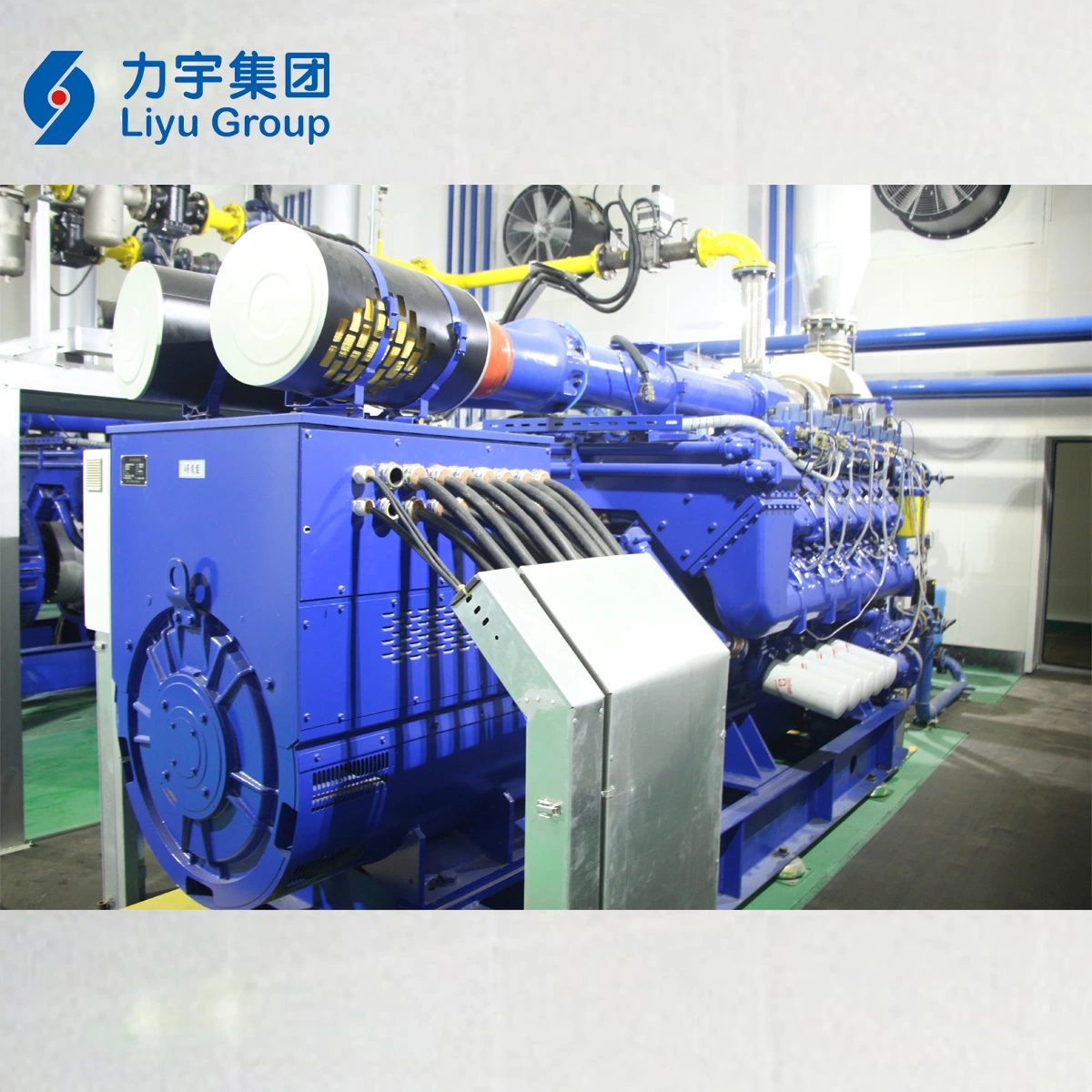 Liyu 800kw/0.8MW 12V Cylinder Low Emission High Voltage 10.5kv Biomass Gas Engine Genset Made in China