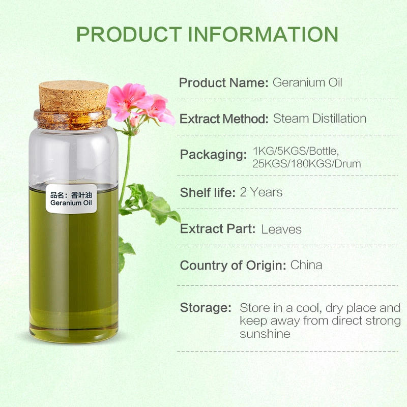 Vente en gros 100% Pure Cosmetics Geranium Essential Oil for Beauty Care