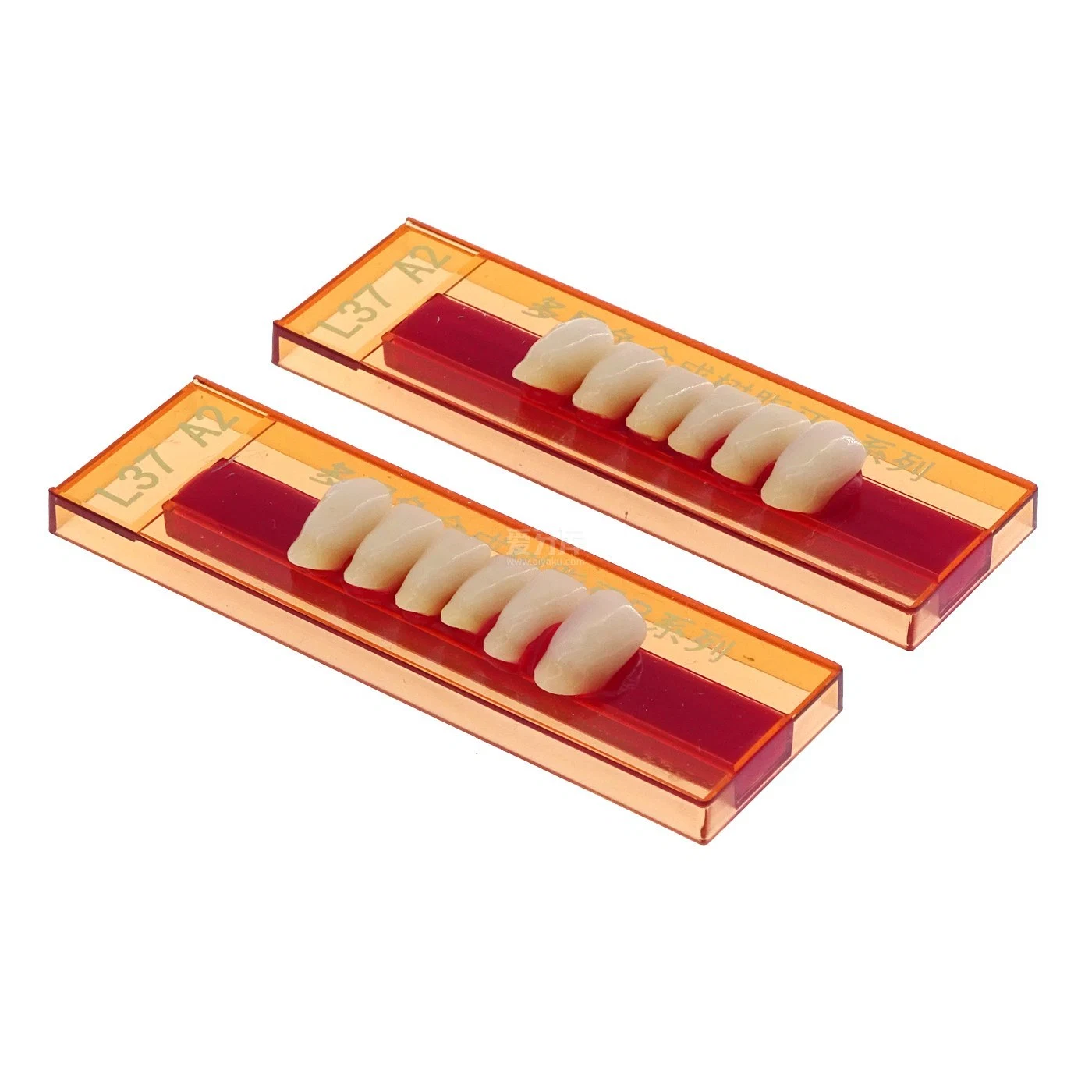 Multi-Capa Dental prótesis artificial de los dientes de resinas acrílicas sintéticas