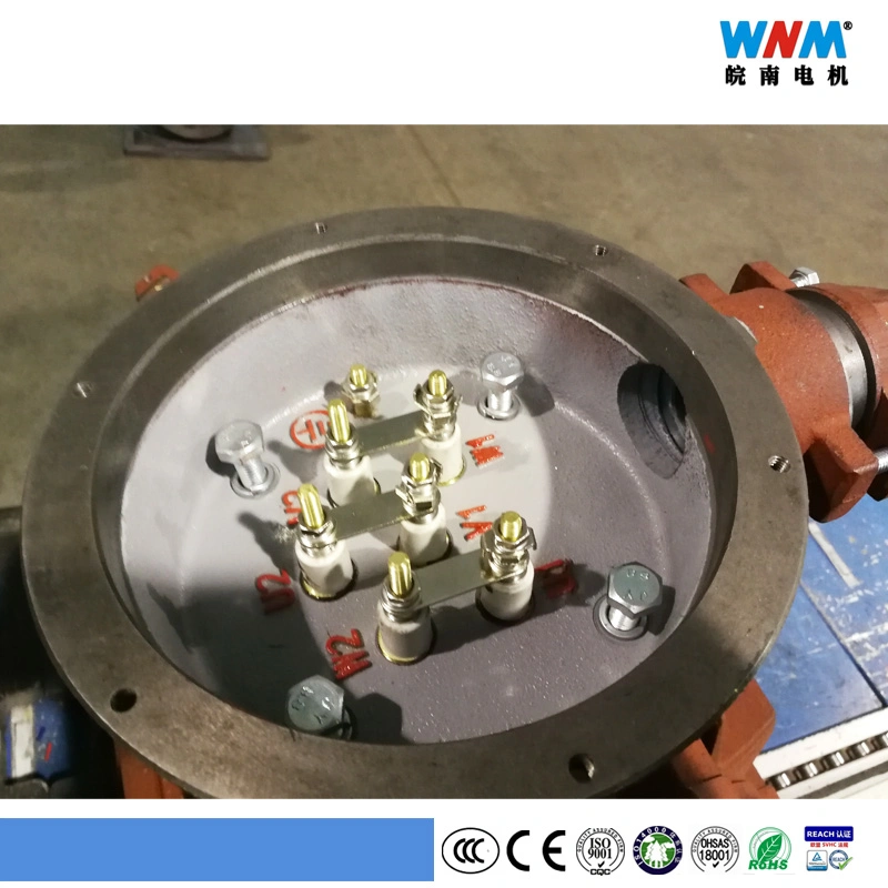 Efficiency Explosion Proof Induction Motor 90kw 4p for Hazardous Location