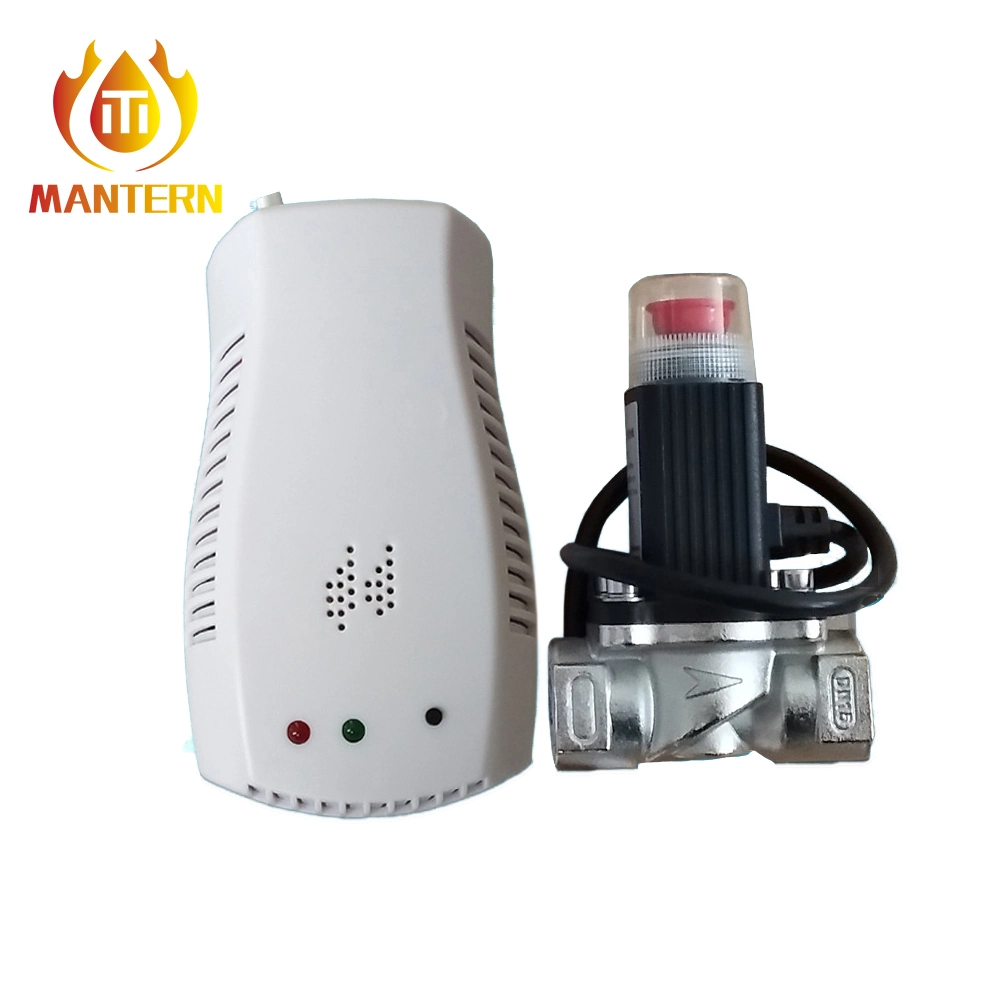 110V - 265V alarma de fugas del detector de gas doméstico para la cocina Fuga de gas natural