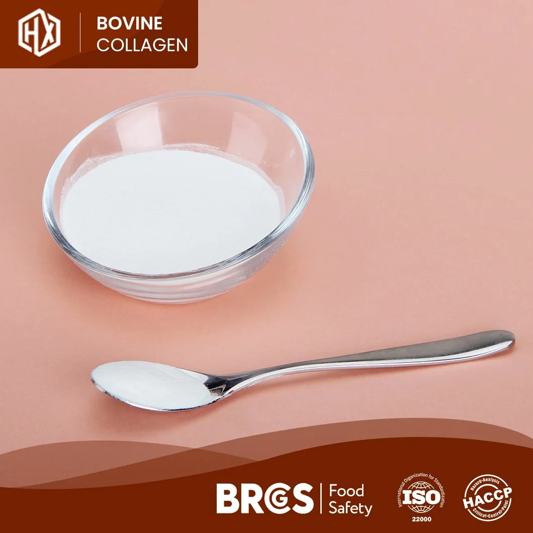 Haoxiang Food Grade Bovine Skin Collagen Gelatin Powder Edible Collagen Peptides From Bovine Hide China Supplier Sample Available Bovine Skin Peptides Collagen