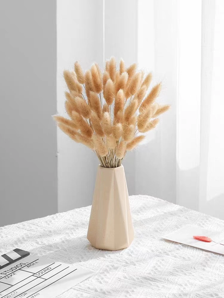 Natural Handmade Dry Flower with Cotton Eucalyptus for Home Decoration