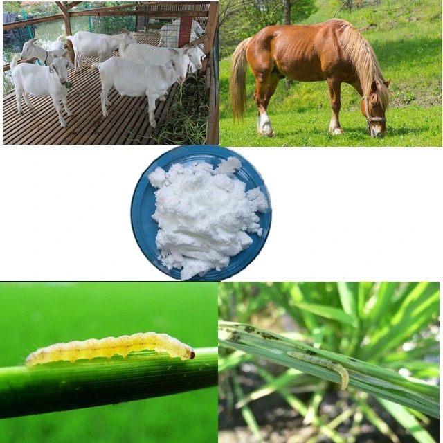 High Effective Insecticide Abamectin 95%Tc