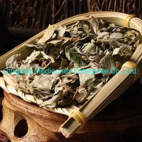 Lysimachia Christinae Herb Raw Materials Prepared Traditional Chinese Herbal Medicine Clearing Damp Prometing Diuresis