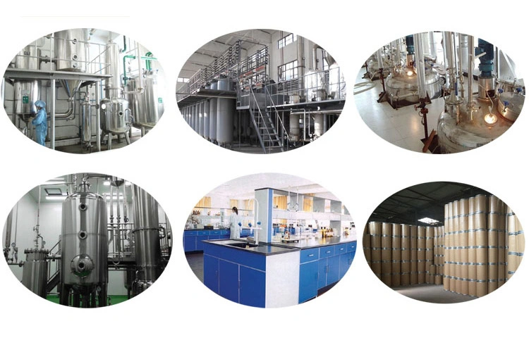 Factory Provide Natural 95% Phytosterol Plant Sterols