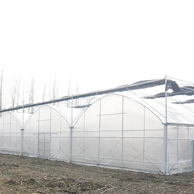 Excellent Strength Muti-Span Greenhouse