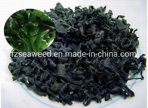 Venta caliente Corea Food Grade de algas marinas algas wakame ensalada