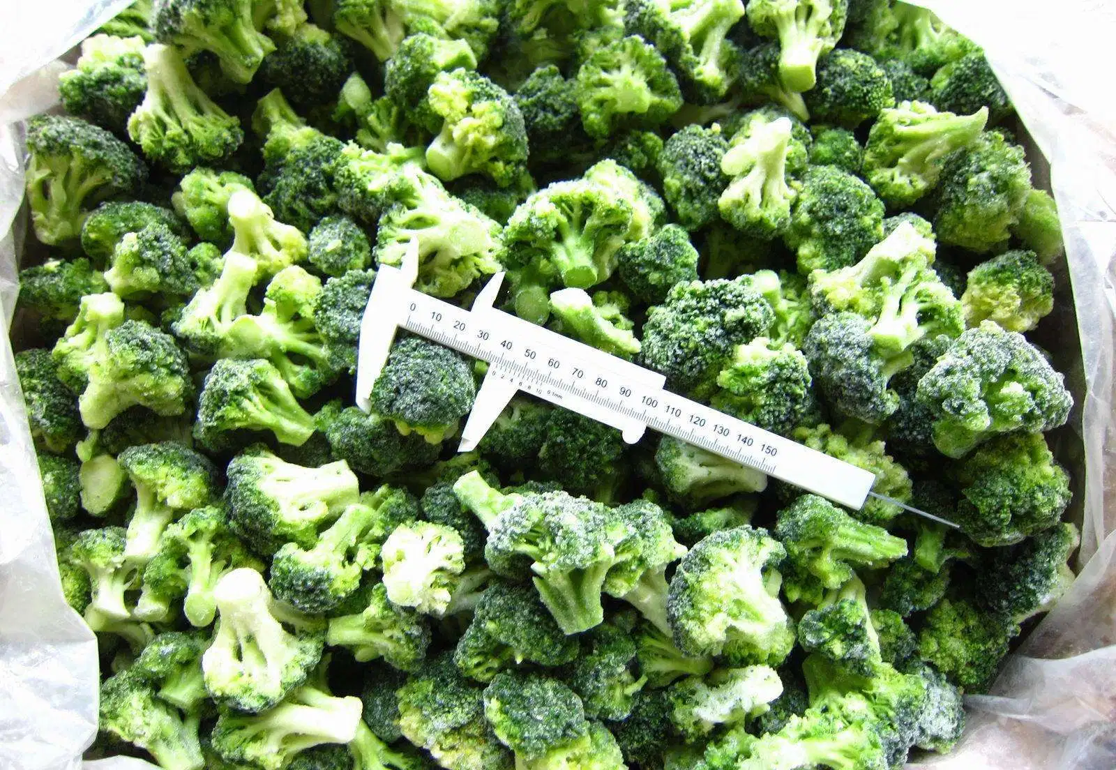 IQF Broccoli Frozen Broccoli 3-5cm, 4-6cm High quality/High cost performance  Frozen Vegetables