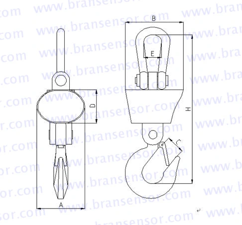 20t-50t Heavy Type Crane Scale with High Accuracy (OCS-SZ)