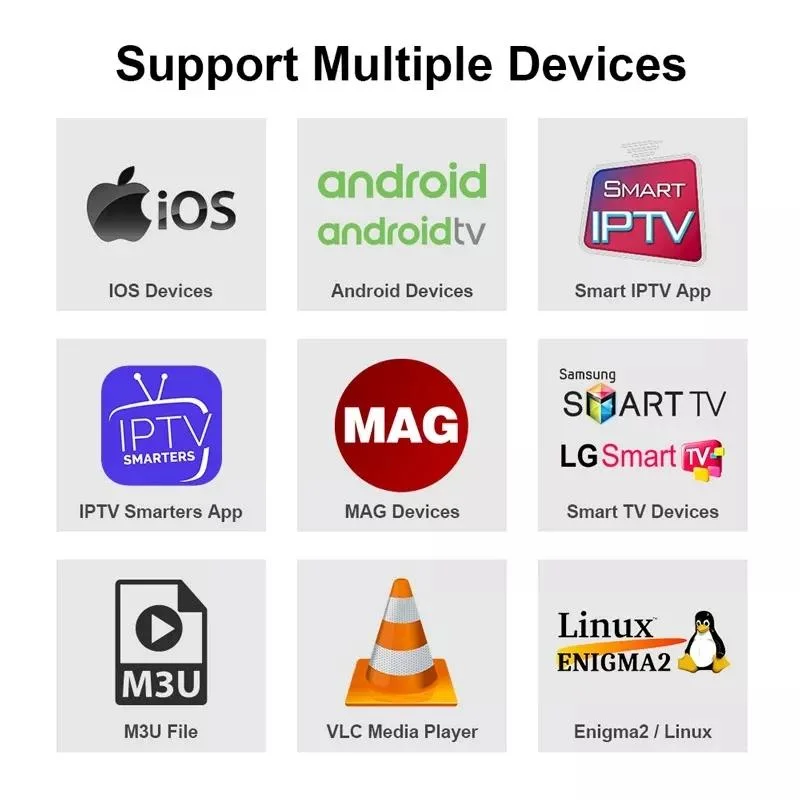 Ott Plus IPTV Server 1year Magnum +60000 World Channels VOD and Series for All Devices