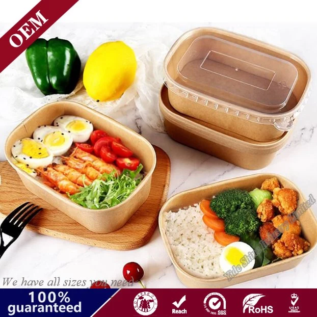 Biodegradable Kraft Paper Packaging Box Disposable Takeout Food Box with Paper Cover