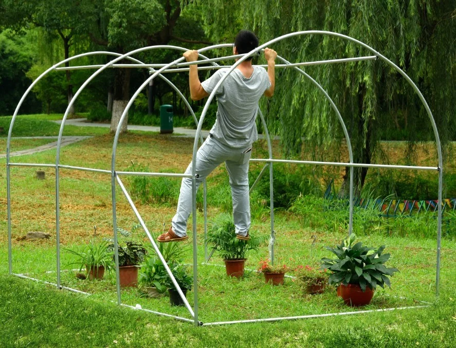 Hot Sale Factory Price Plastic Film Tunnel Greenhouse 4*2*2m