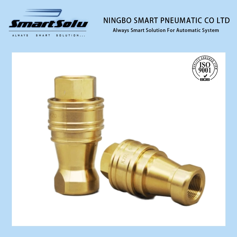 Brass Double Self-Sealing Female Thread Hydraulic Quick Connector