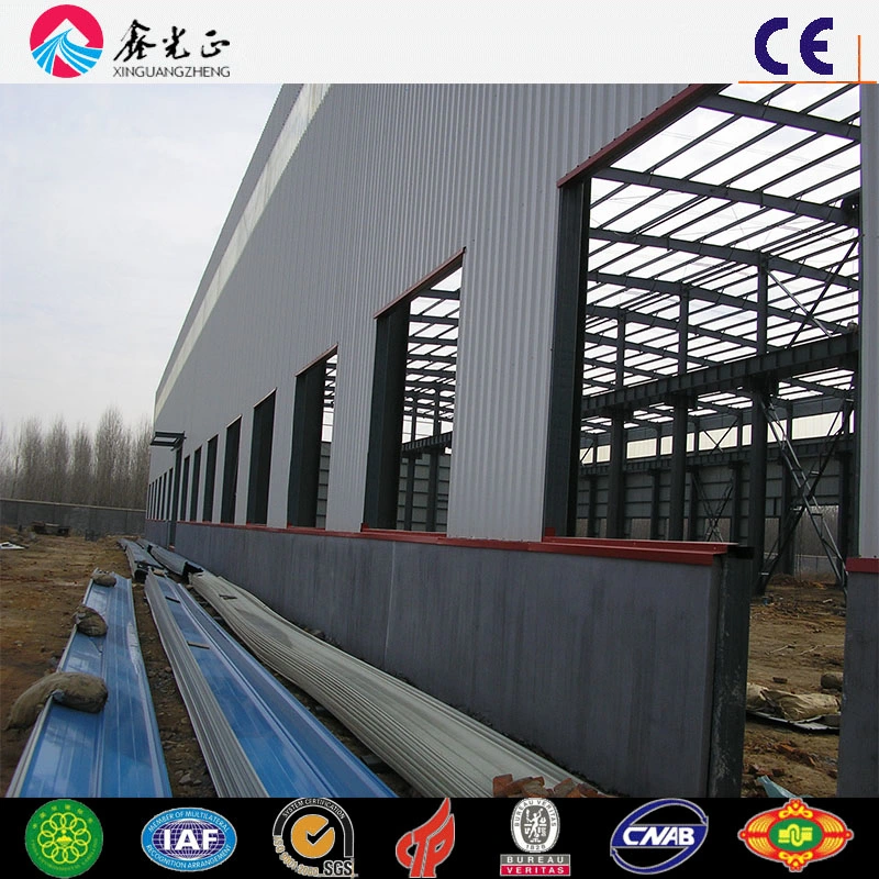 Steel Structure Building/Steel Structure Framework (SSW-252)