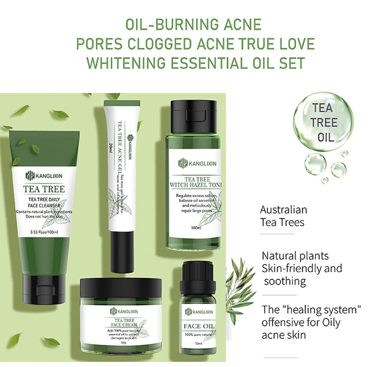 Tea Tree Skin Care Set für gesunde und ausgewogene Haut