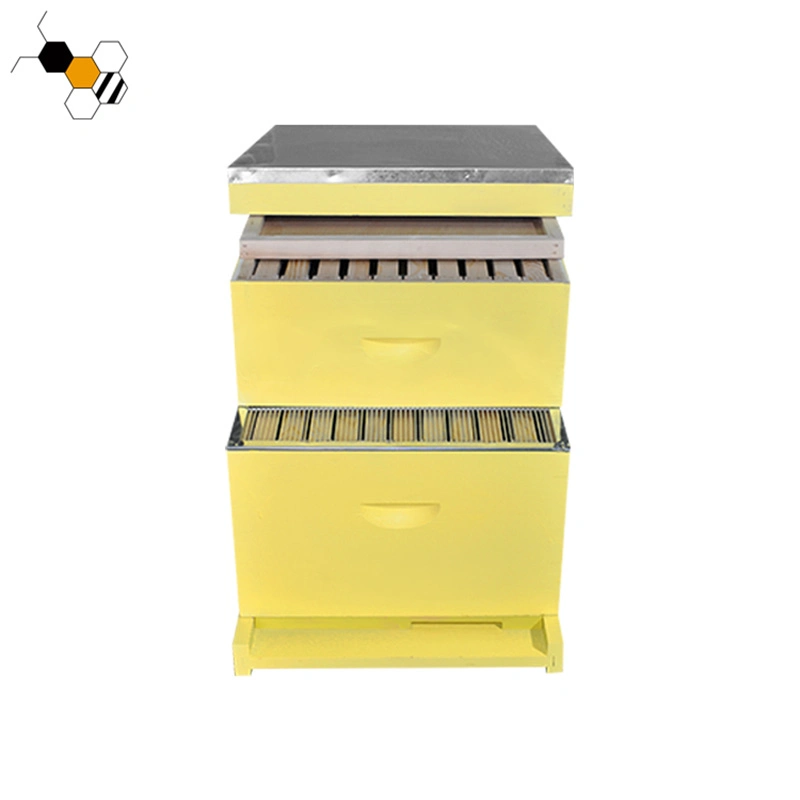 Hot Sale jaune Ruches d'abeilles pour la vente de miel ruche Langstroth