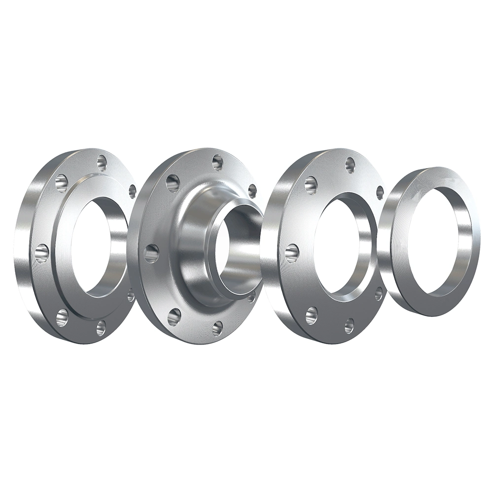 Bw Stainless Steel Weld Neck RF Flange Fittings