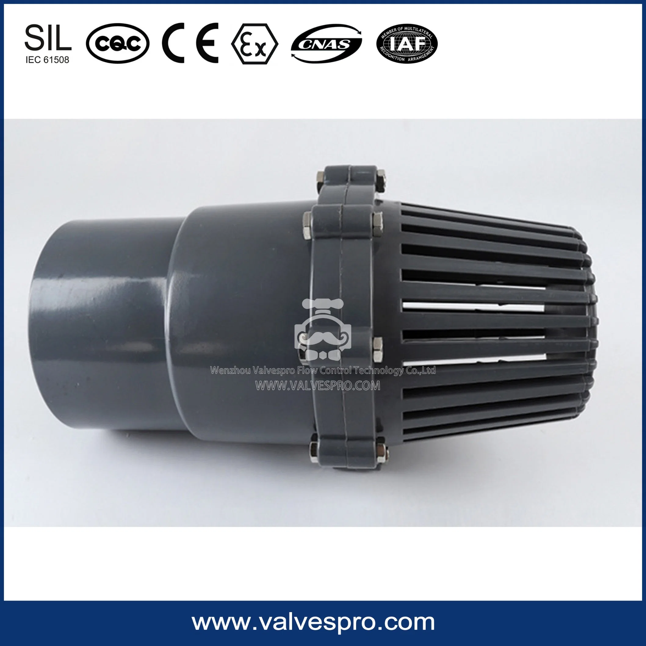 PVC Foot Valve with DIN ANSI BS Standard Made in China Water Pump Foot Valve