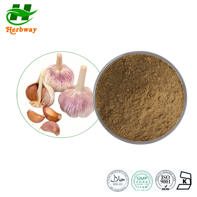 Herbway Kosher Halal Fssc HACCP Certified Free Sample Allicin Powder Garlic Extract