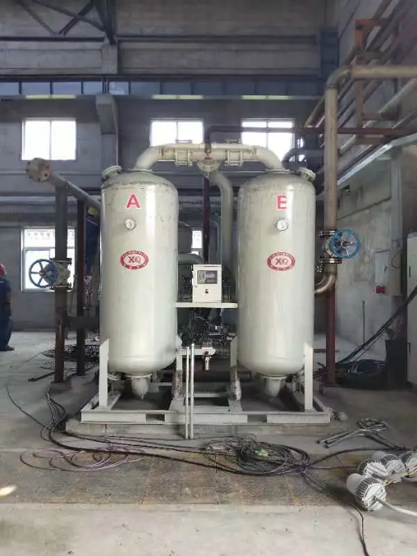 Oxygen Generator for Medical & Industrial Use Oxigen Plant Hospital Oxygen Gas Equipment