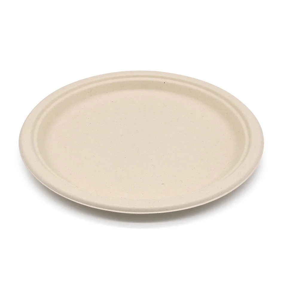 Disposable Platos Biodegradable Packaging Laminated Paper Fruit Tray Sugarcane Bagasse on Sale