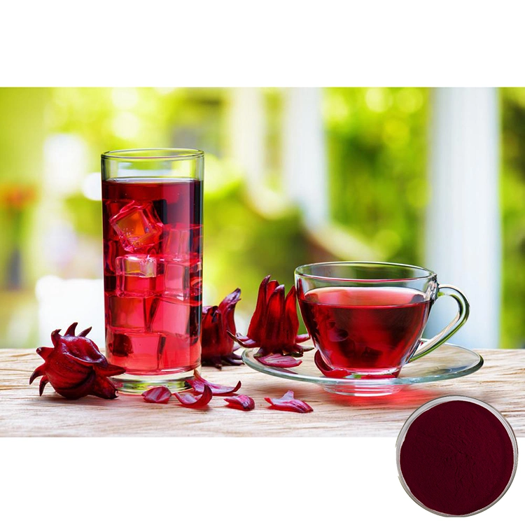 Organic Hibiscus Extract Alcohol-Free and Clean Label