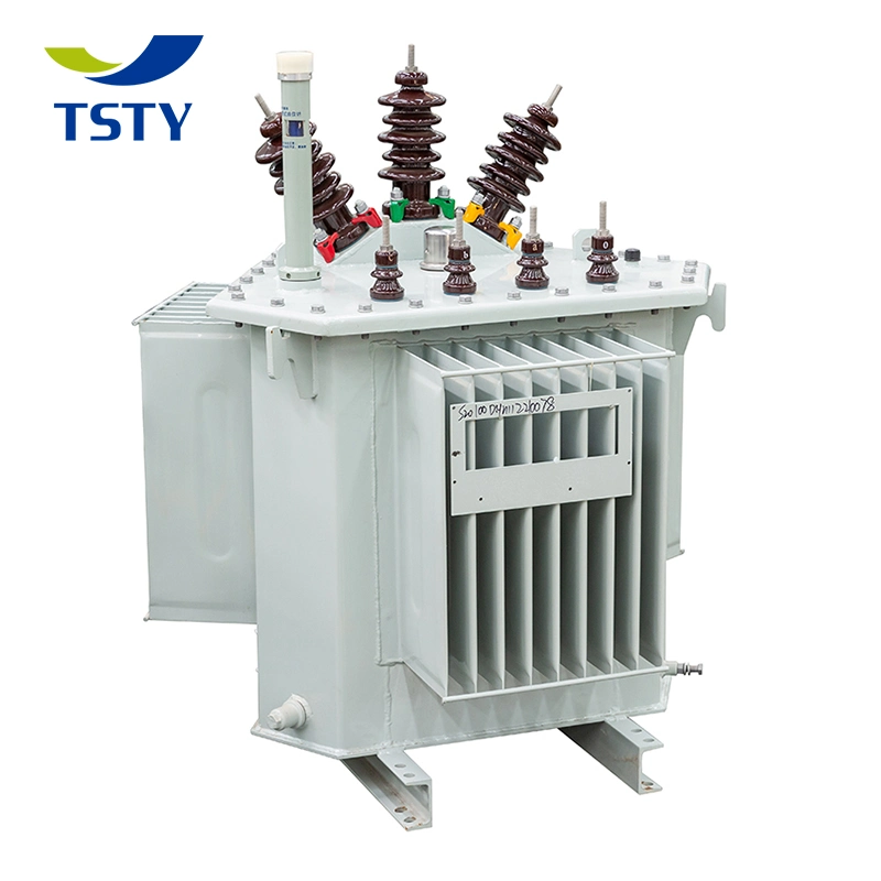 Transformateur immergé dans l'huile à faible perte de 300 kVA 10/0,4 Kv avec norme IEC. Transformateur de puissance immergé dans l'huile de 15 Kv avec service personnalisé.