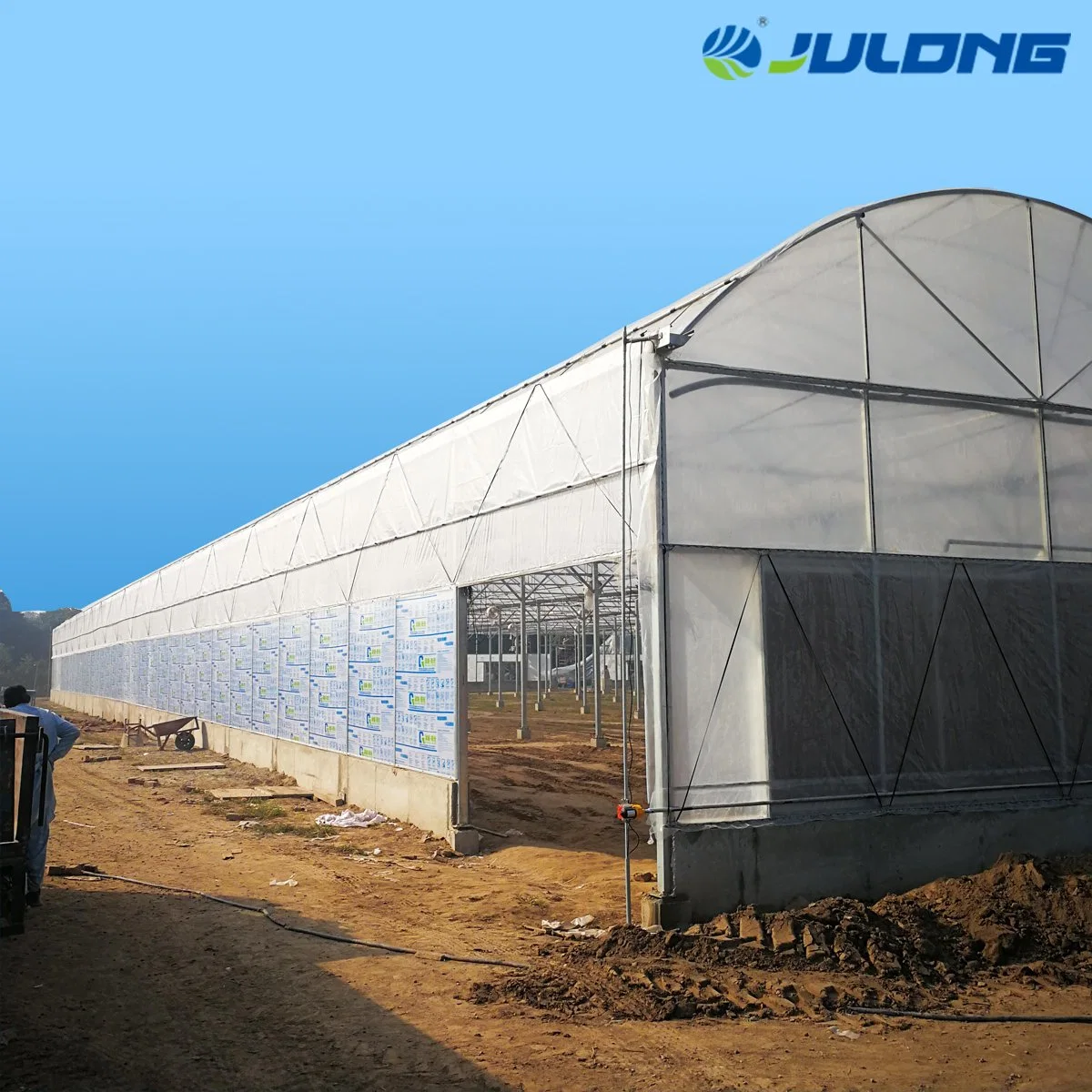 Agricultural Machinery High quality/High cost performance Multi-Span Film Greenhouse for Farm Planting