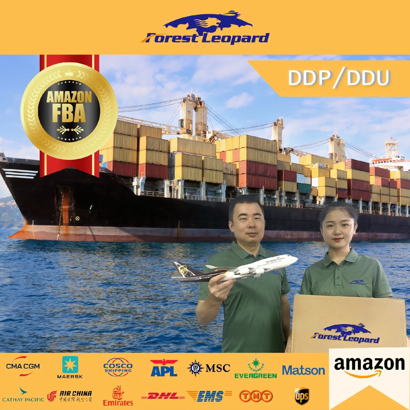 Cheap Shipping Rates Sea Freight Forwarder Agents in Shenzhen Express DHL Courier China to UK/Italy/France/USA/Canada