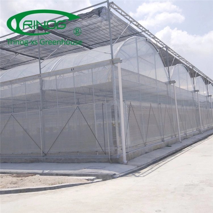 Intelligent Multi-Functional Film Greenhouse for Vegetable