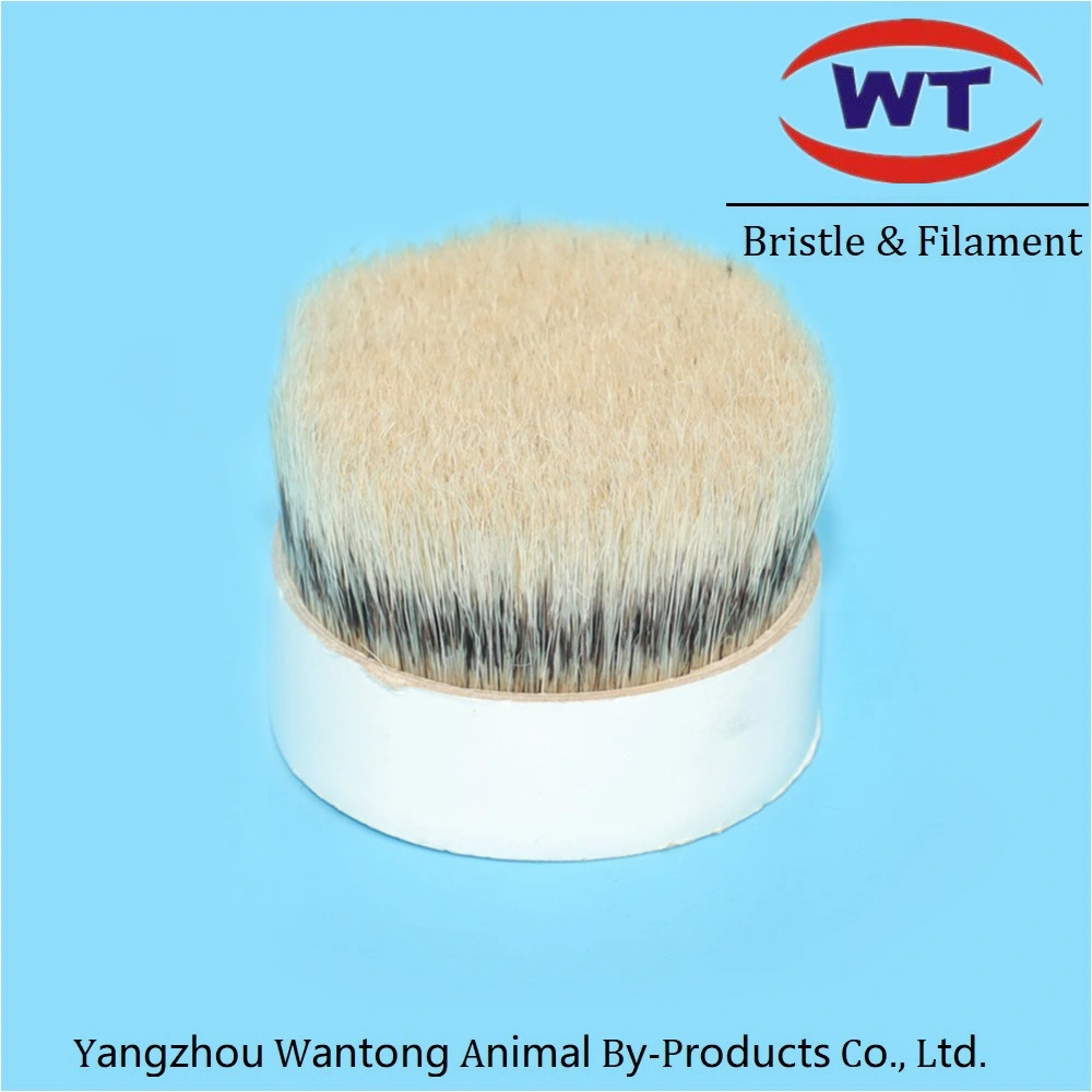Natural and High quality/High cost performance  White Boiled Bristle Hair 90% Tops