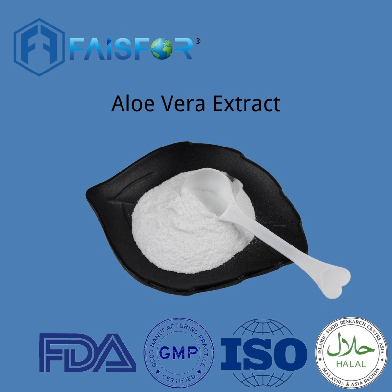 100% Natural Plant Extract Cosmetics Aloe Vera Extract Powder