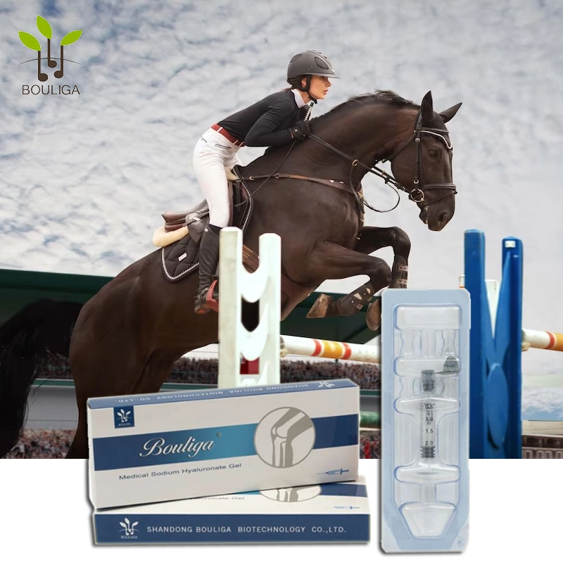 Racehorses Knee Care Sodium Hyaluronate Equine Joint Injections for Sale