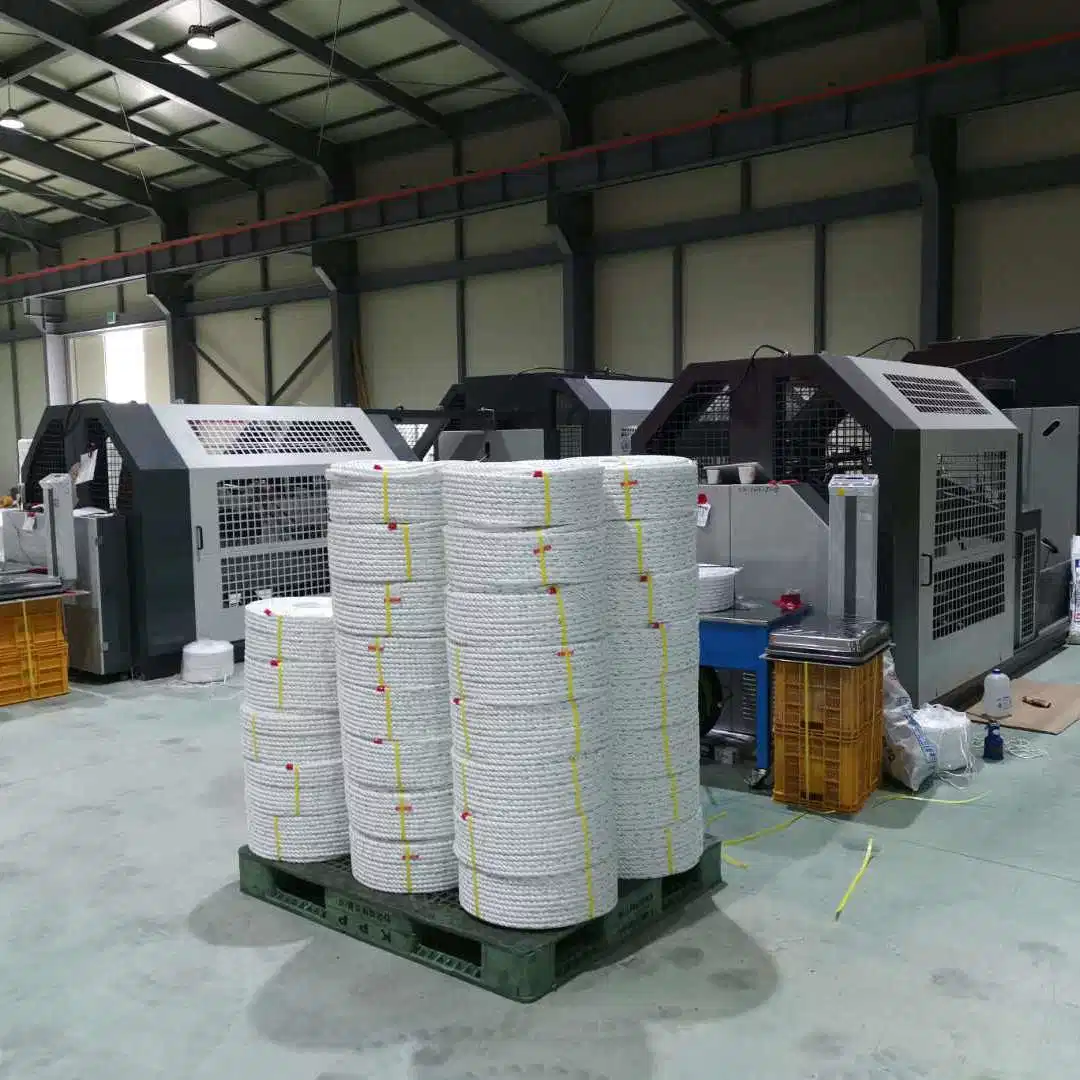 Plastic HDPE Rope/Flat Danline/Mono Rope Production Line with Good Price