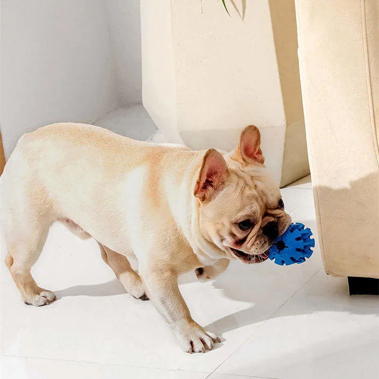 Mascote com fugas de comida cão mastigar brinquedo de borracha antimordida Molar Pet Aperta o brinquedo para o cão