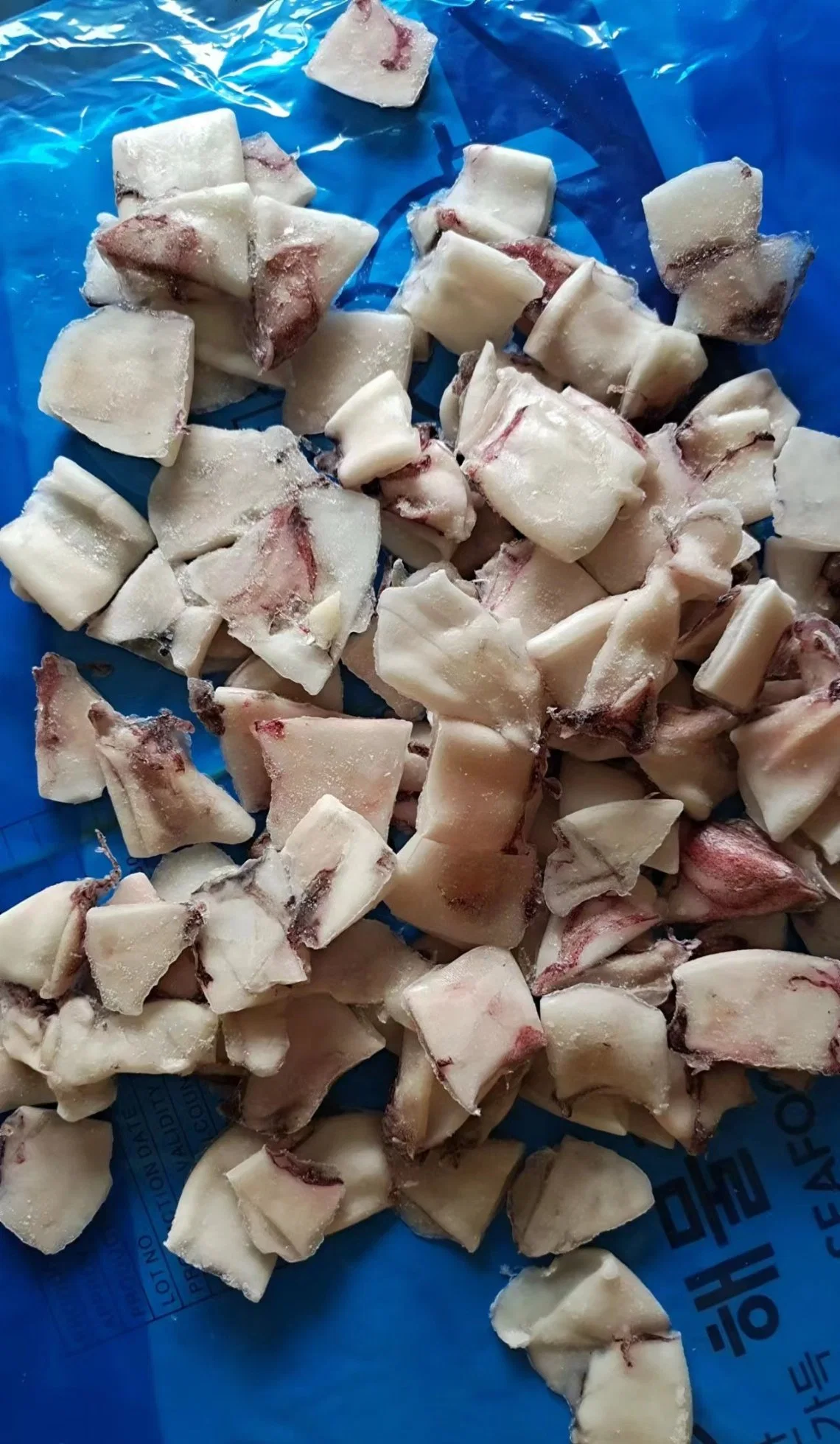 Frozen Squid Cutted Pieces, Loligo Chinensis