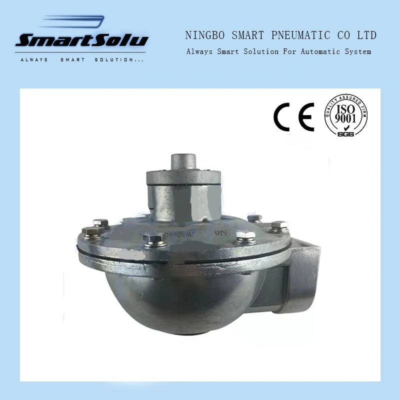 Well-Known Senior Professional RCA50t Pulse Solenoid Valve for Dust Removed Equipppment