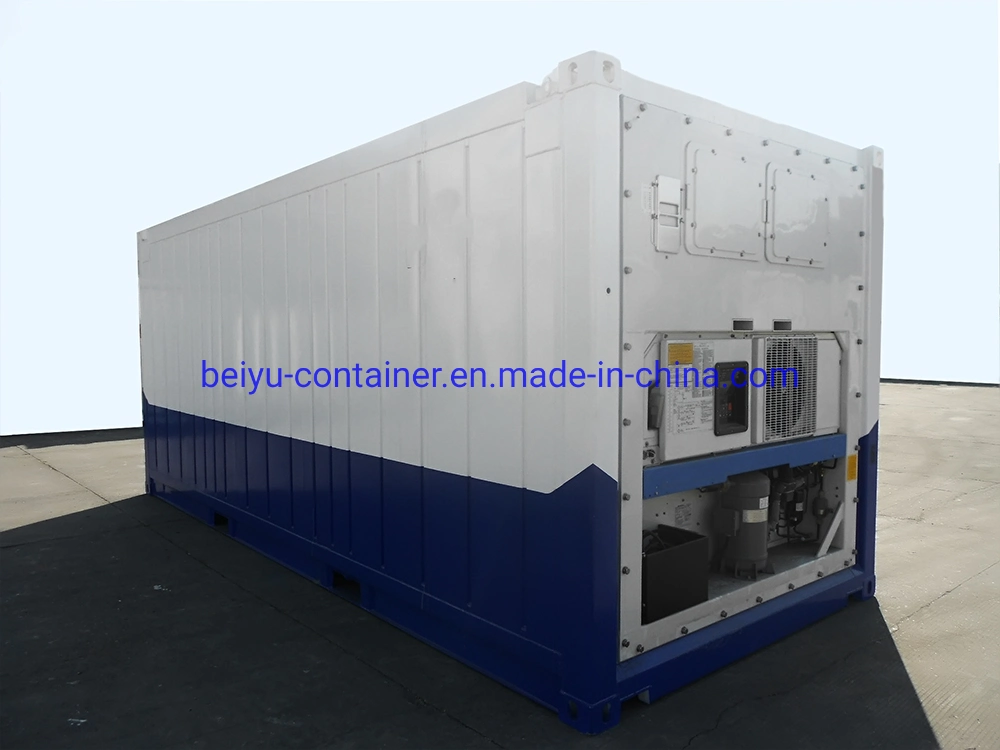 10M 20ft Offshore DNV contenedor seco transportista Ru Certificado Csc