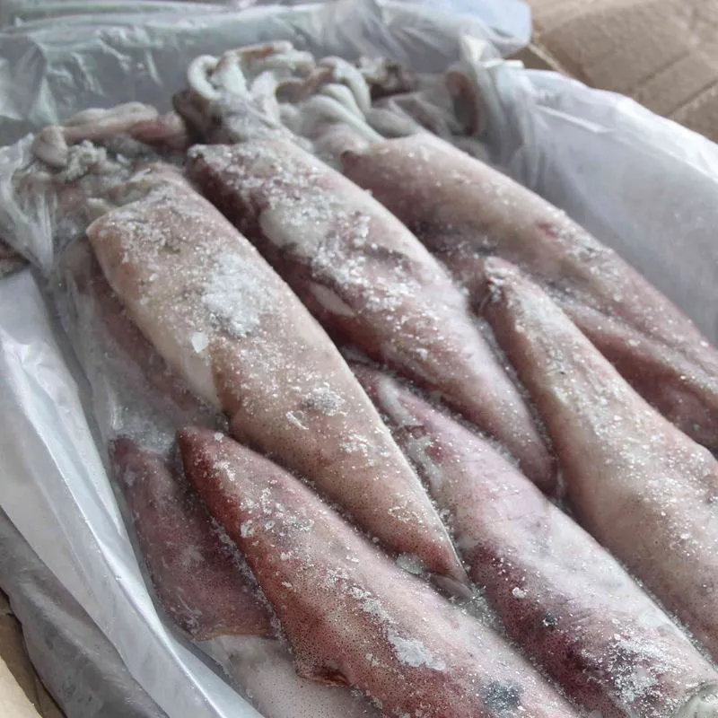 Frozen Squid with Vetetable String High quality/High cost performance Health Seafood Lllex Giant Squid Product Japanese Squid