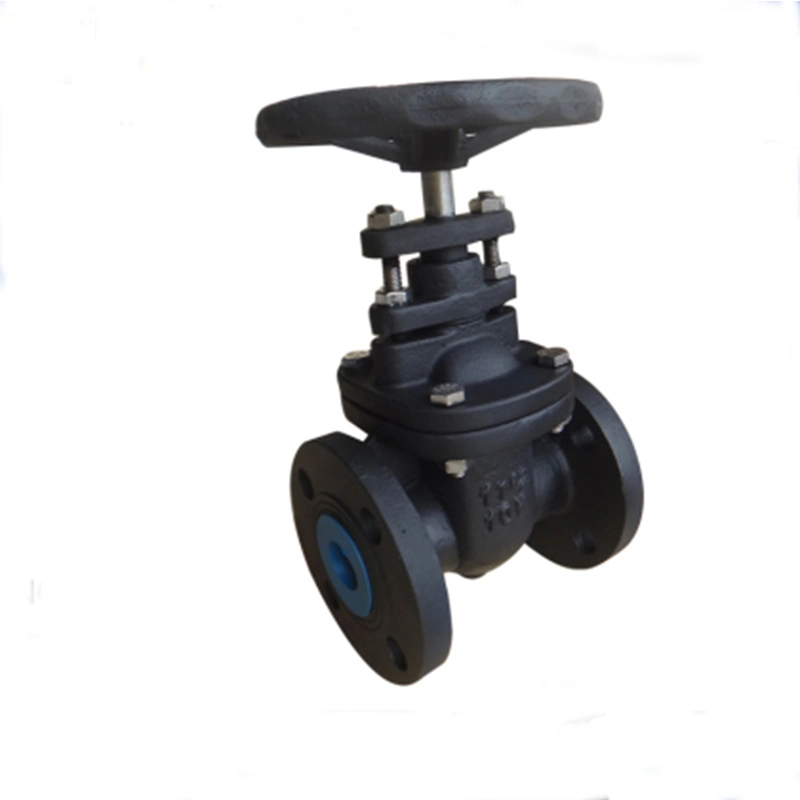 DIN Standard Cast Iron/Ductile Iron Flange Type Gate Valve with ISO Certificate