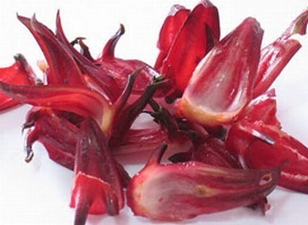 Plant Extract 4: 1~20: 1 Hibiscus Sabdariffa Powder Extract / Anthocyanidins20% Roselle Extract / Hibiscus Flower Extract