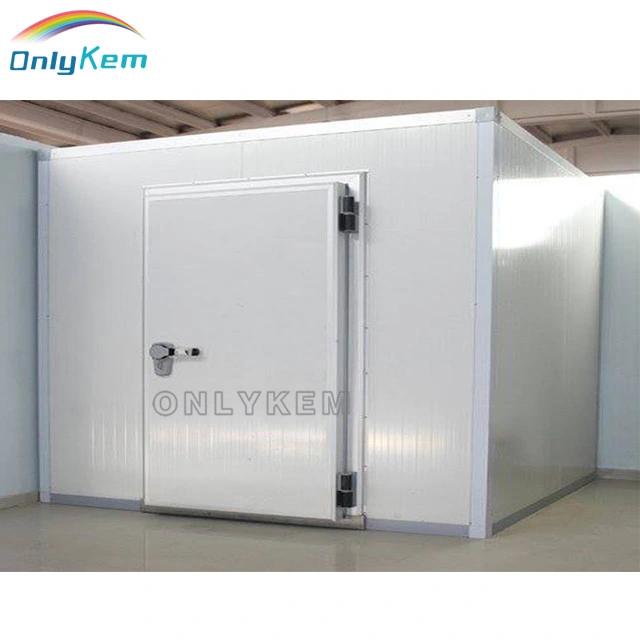 Caminar en el congelador almacenamiento frío Cuarto frío uso Poliurethane Sandwich Panel con equipo de refrigeración Unidad de condensación refrigerador